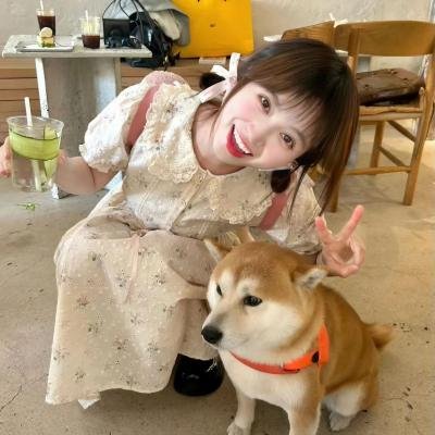流氓医生国语