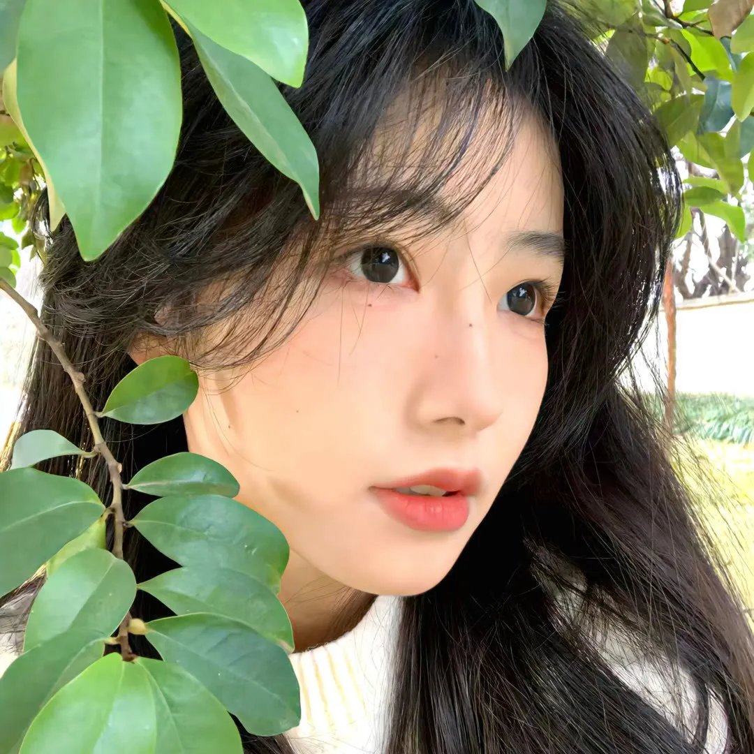 迷楼惊魂